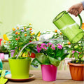 Zznnkj 34oz Plastic Watering Can with Long Spout for Succulents Bonsai Catus House Plants Indoor Outdoor, Green