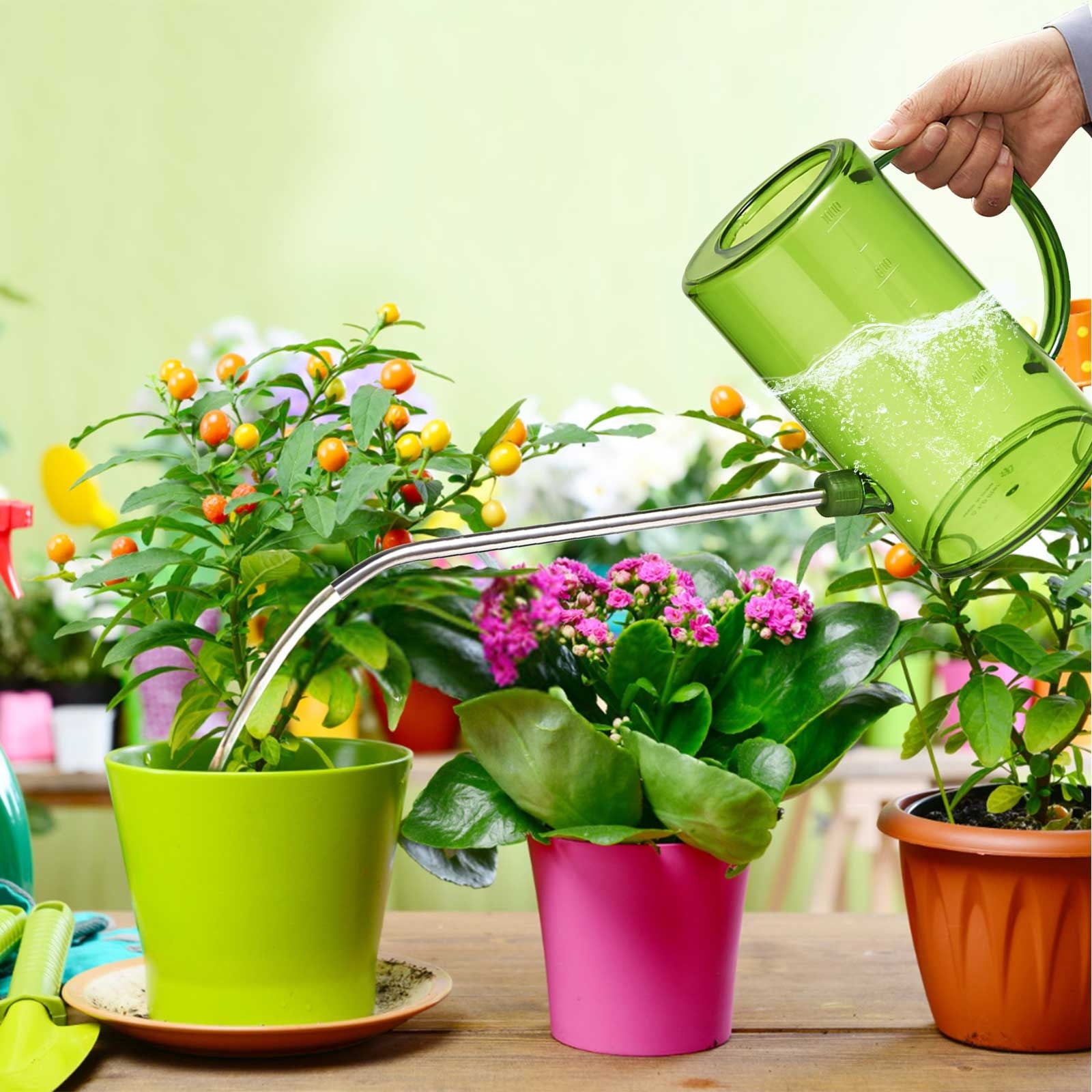 Zznnkj 34oz Plastic Watering Can with Long Spout for Succulents Bonsai Catus House Plants Indoor Outdoor, Green