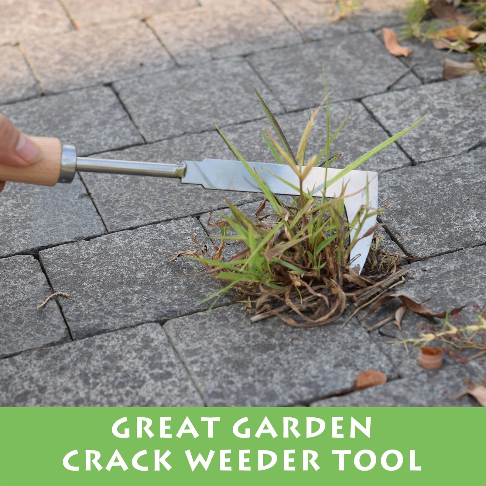 Stainless Steel Weeding Tool | Crevice Weeder & Seedling Transplanter for Garden, Yard - Image 4