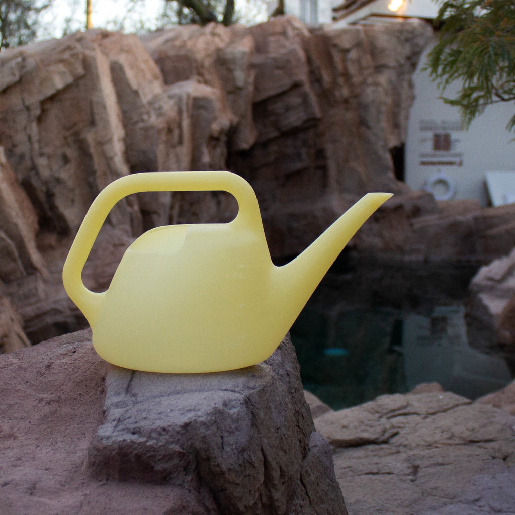 Bloem Translucent Plastic Watering Can: .4 Gallon (1.5 Liter), Indoor/Outdoor, Goldfinch - Image 2