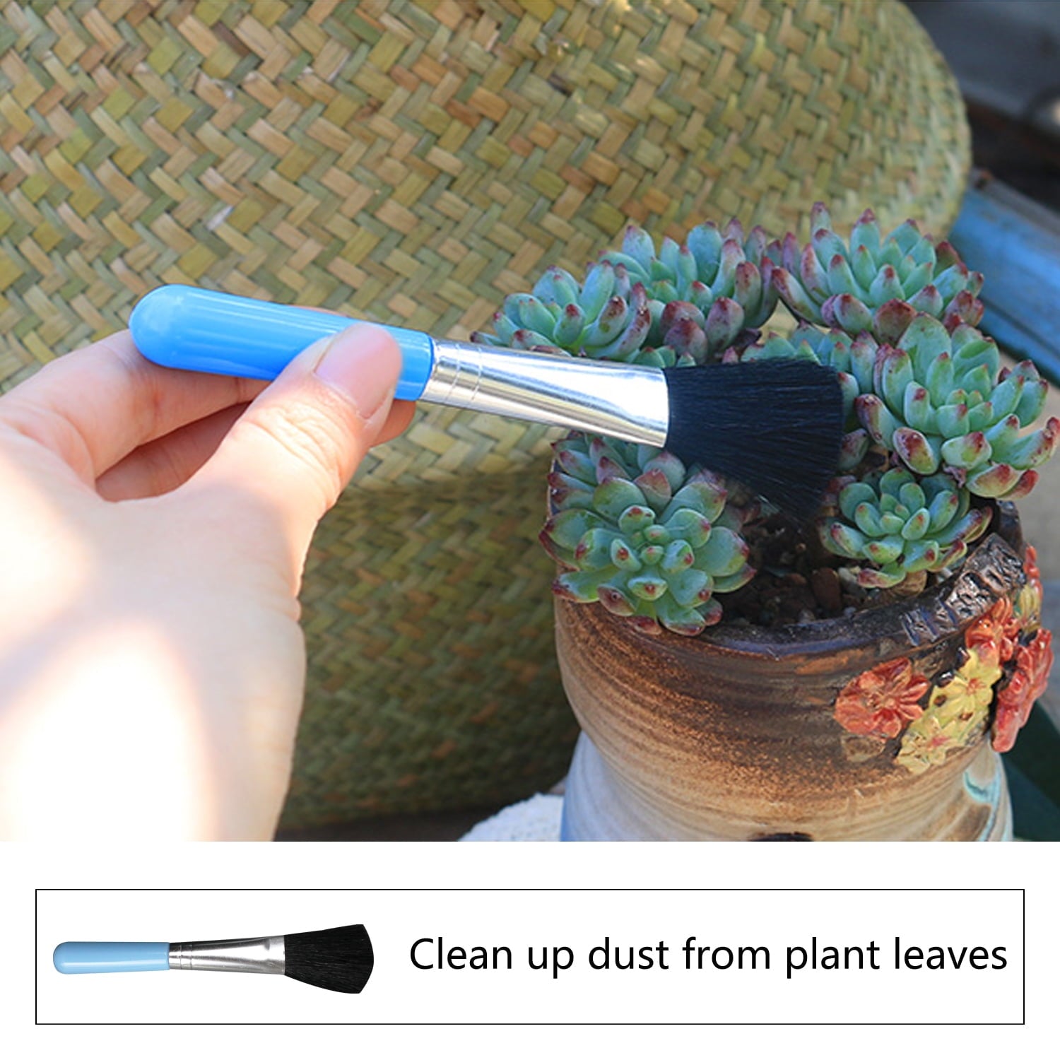 Upgrade 12 Pieces Succulent Plant Tools, Mini Planting/Transplanting Gardening Tool Set for Indoor Miniature Garden Plant Care(Blue) - Image 4