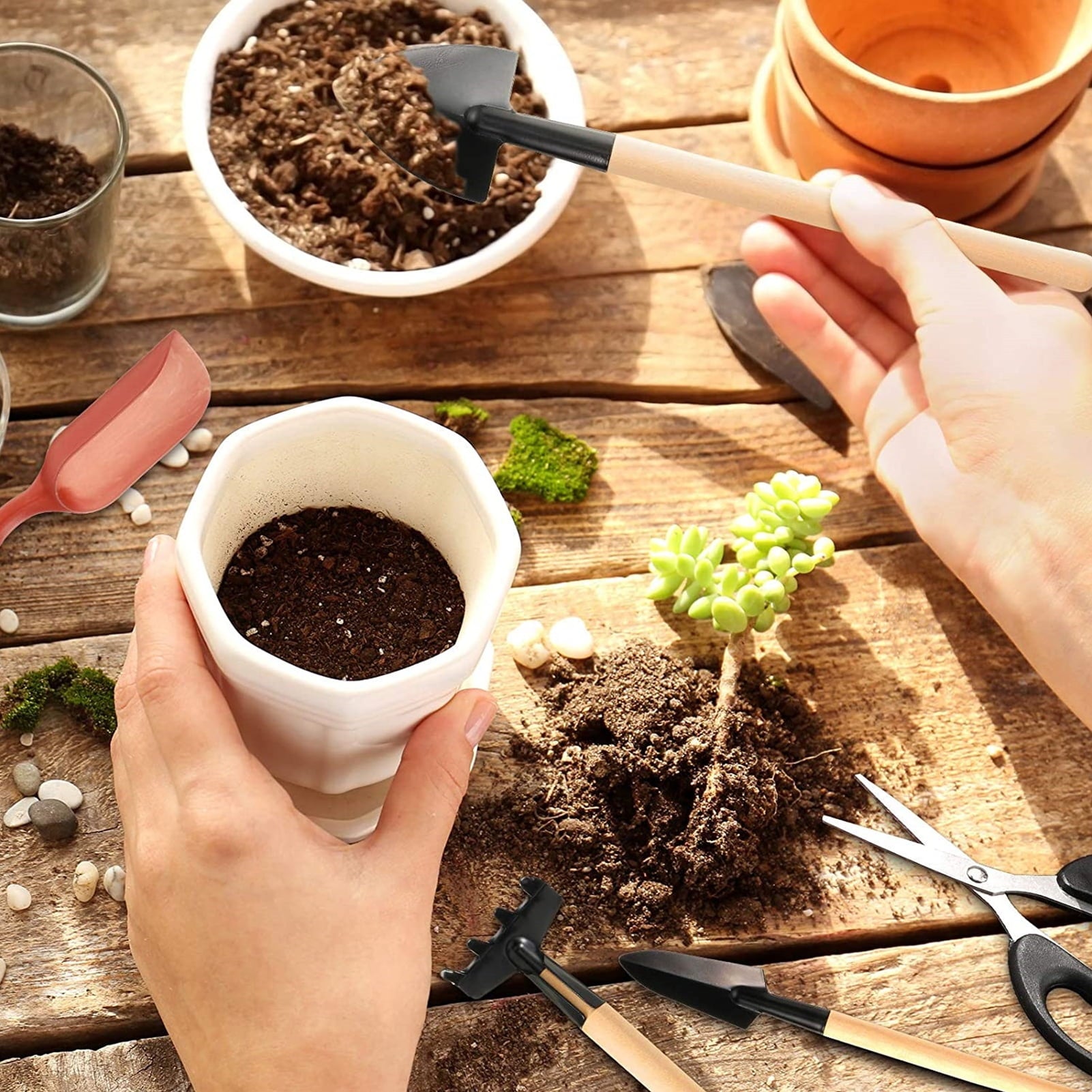 Garden Planting Tool Set for Succulents Weeding Digging Planting Transplanting Miniature Fairy Garden Cactus Bonsai P... - Image 5