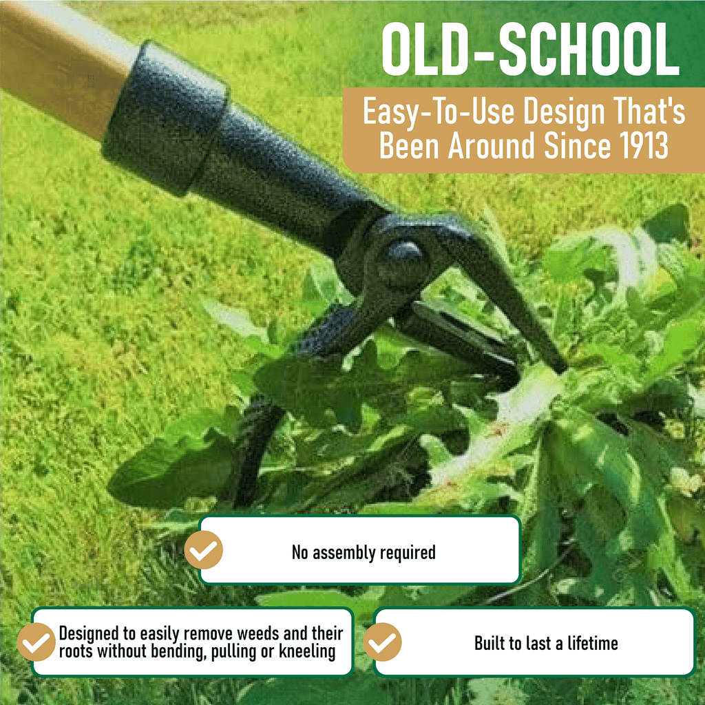 The Original Stand Up Weed Puller Tool With Long Handle - Made With 4-Claw Steel Head Design - Easily Remove Weeds Wi... - Image 6
