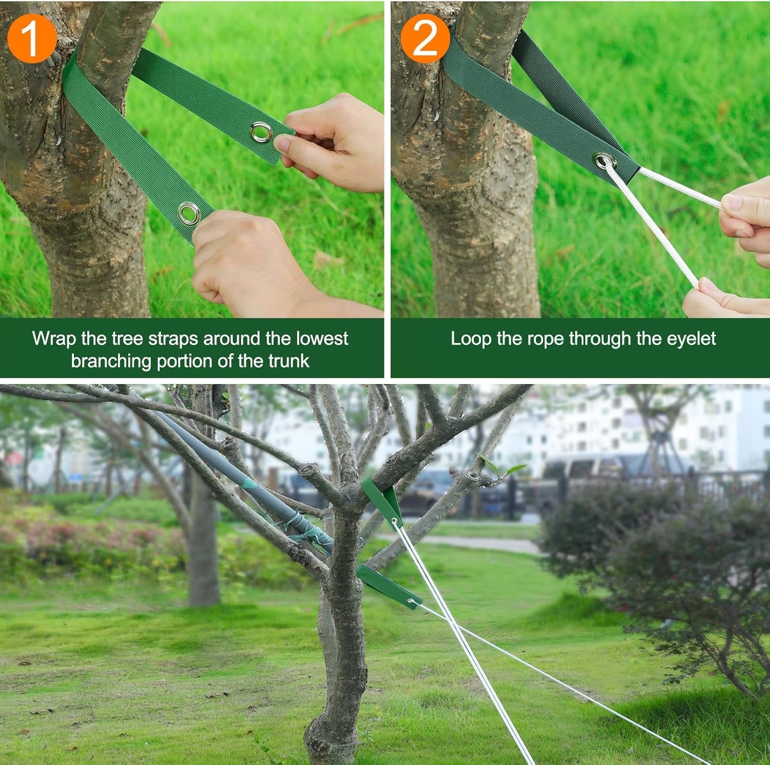 12 PCS Tree Straps for Staking, Tree Support Straps for Guying Staking Newly Planted Sapling Straight and Hurricane P... - Image 5