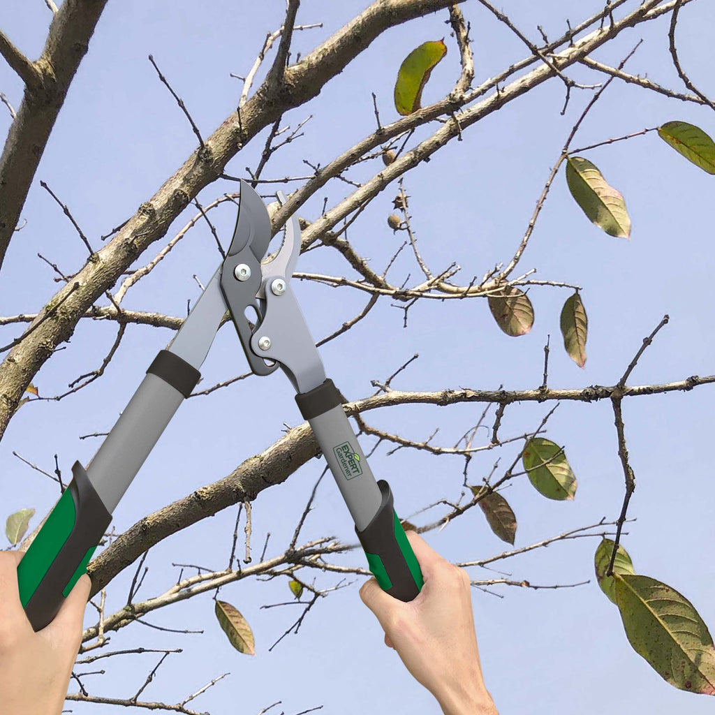 15-Inch Lopper, Lightweight and Durable with Ergonomic Grips - Image 2