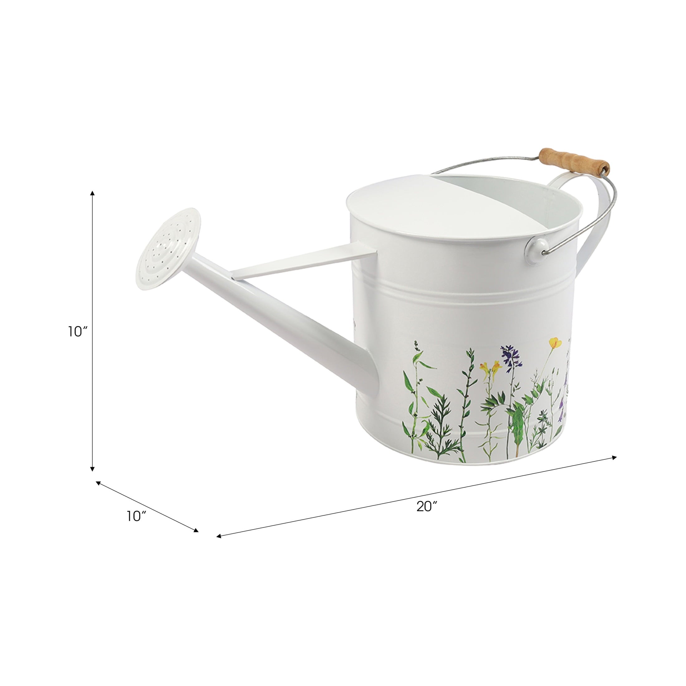 Modern Watering Can for Indoor Plants - Decorative Indoor Watering Can for House Plant Decor - Flower Pots for Garden... - Image 2