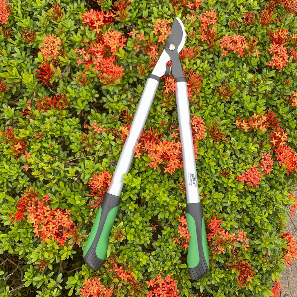 24 inches Steel Bypass Lopper, 1" Cutting Capacity in Green and Black - Image 6