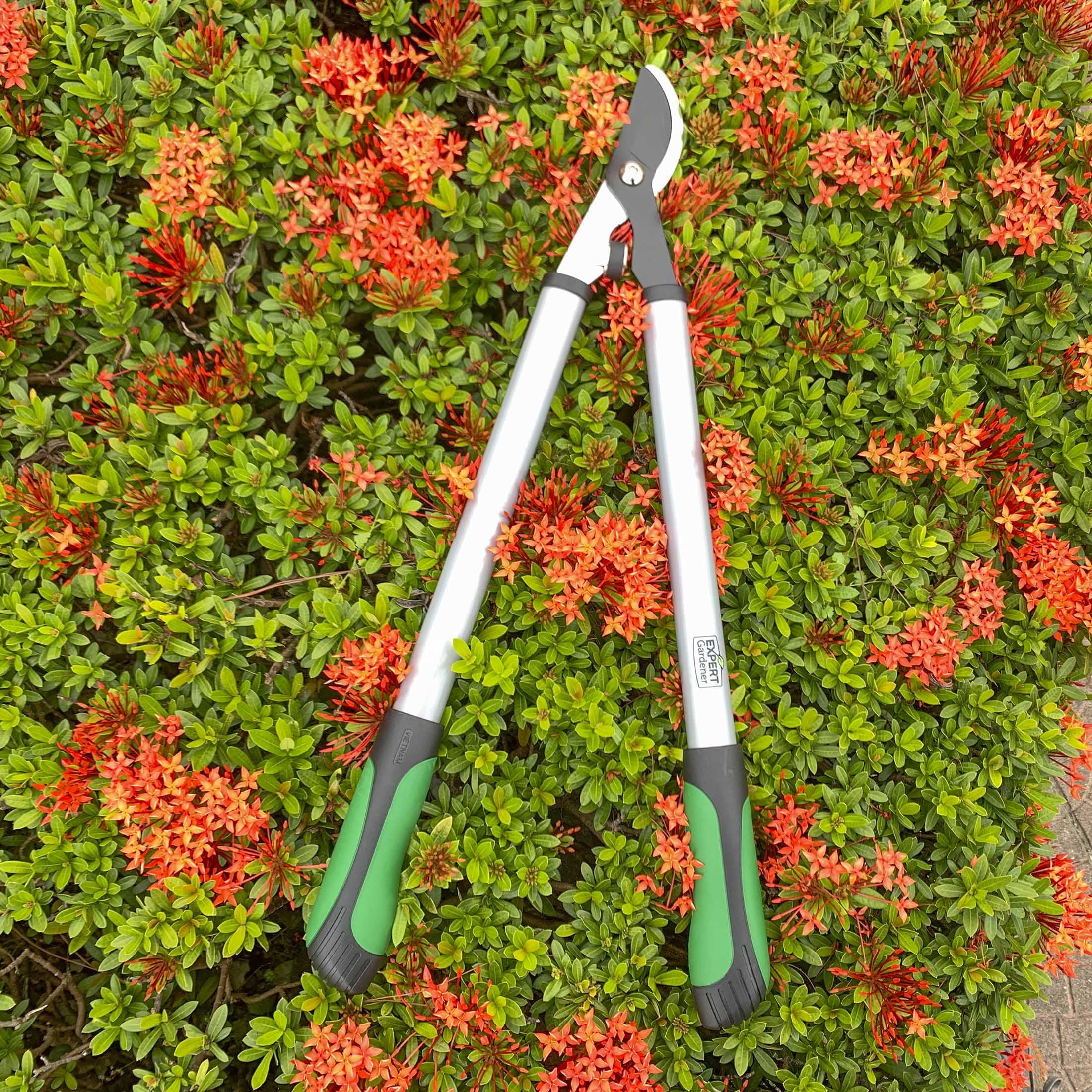 24 inches Steel Bypass Lopper, 1" Cutting Capacity in Green and Black - Image 6