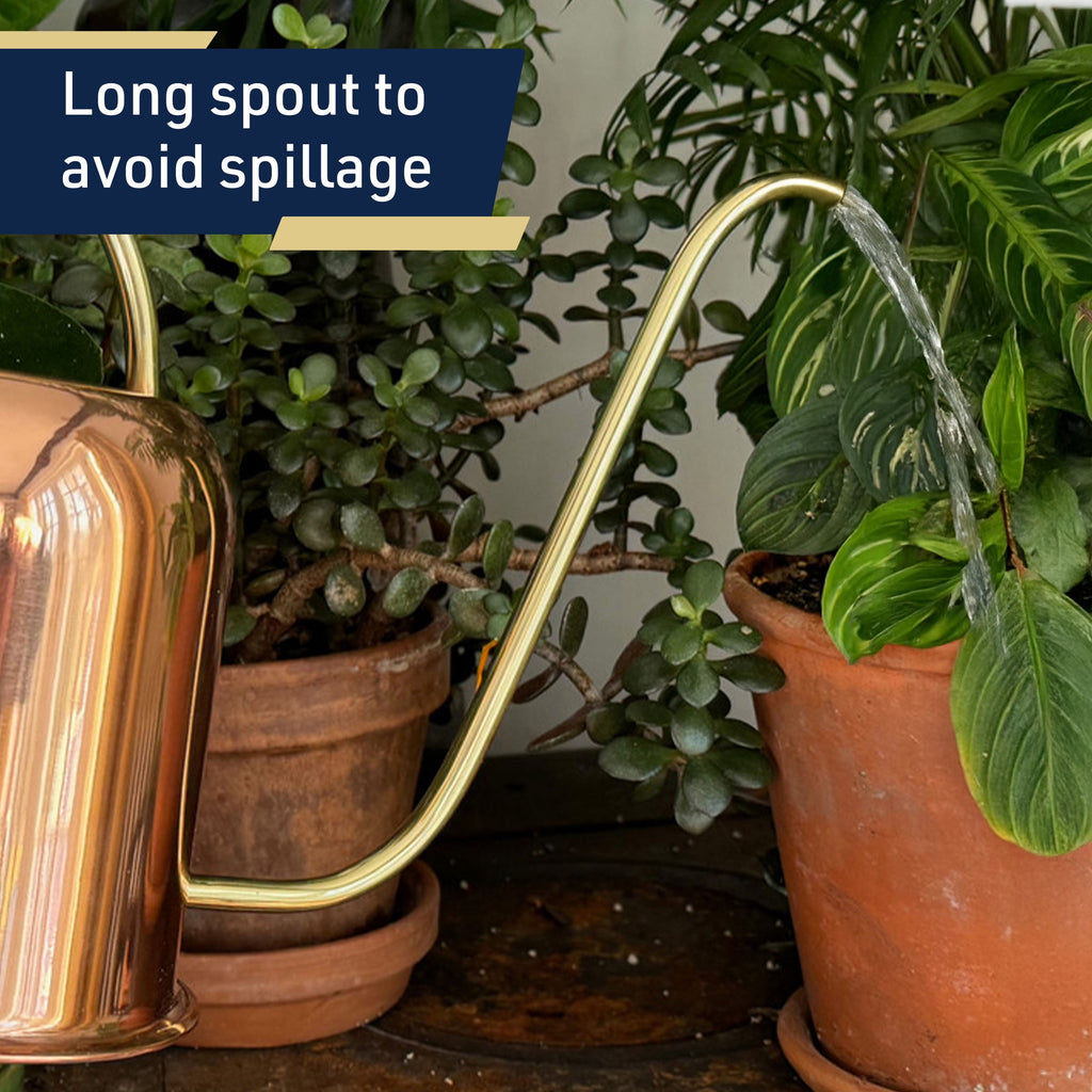 48oz Copper Watering Can Long Spout Indoor Plant Waterer with Brass Handle - Image 4