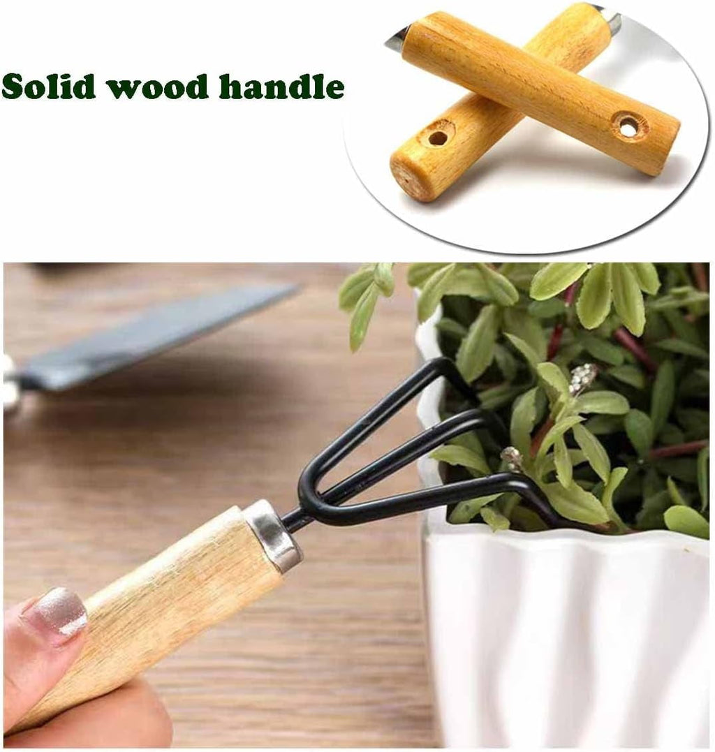 SUOWANG Conventional Garden Tools Minimalism Gardening Tool Set with Wood Handle, Succulent Plant Transplant Trowel, 3 Pieces Include 1 Narr - Image 6