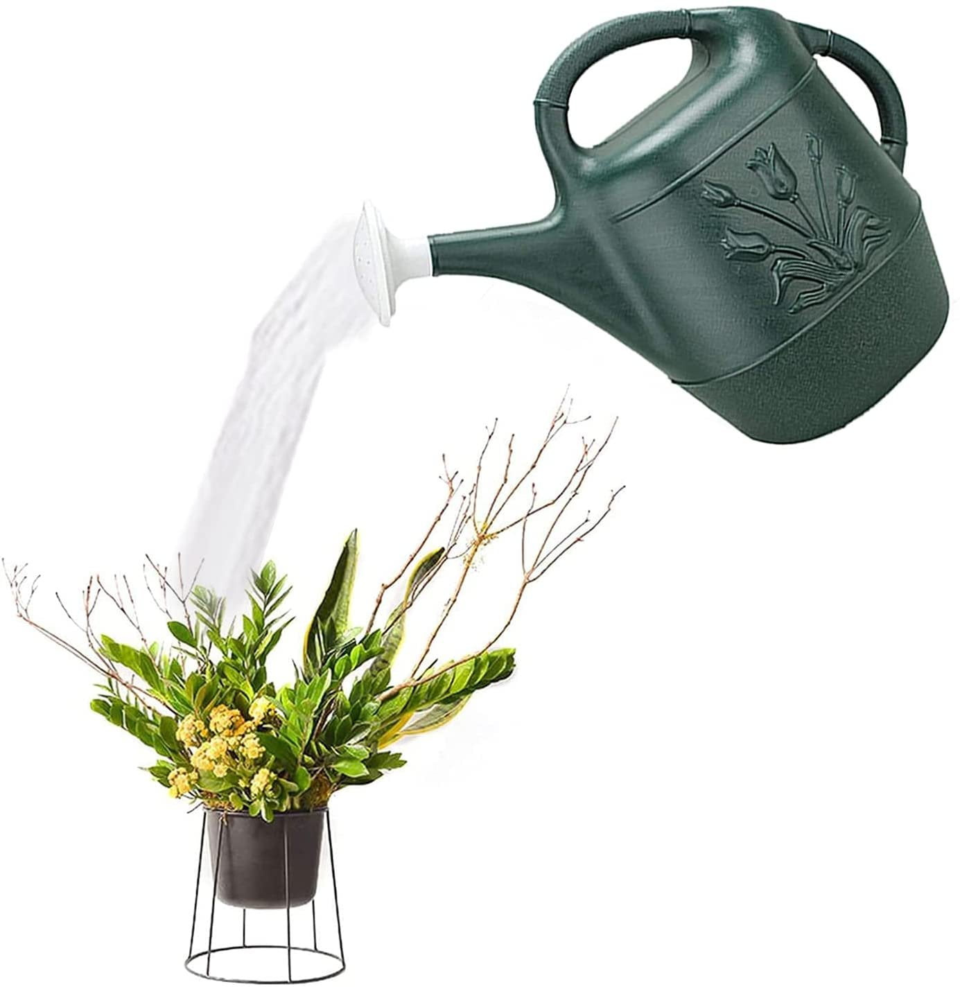 Cado 2 Gallon Watering Can Green - Pour Spout - 3 Pack, Hunter Green - Image 2