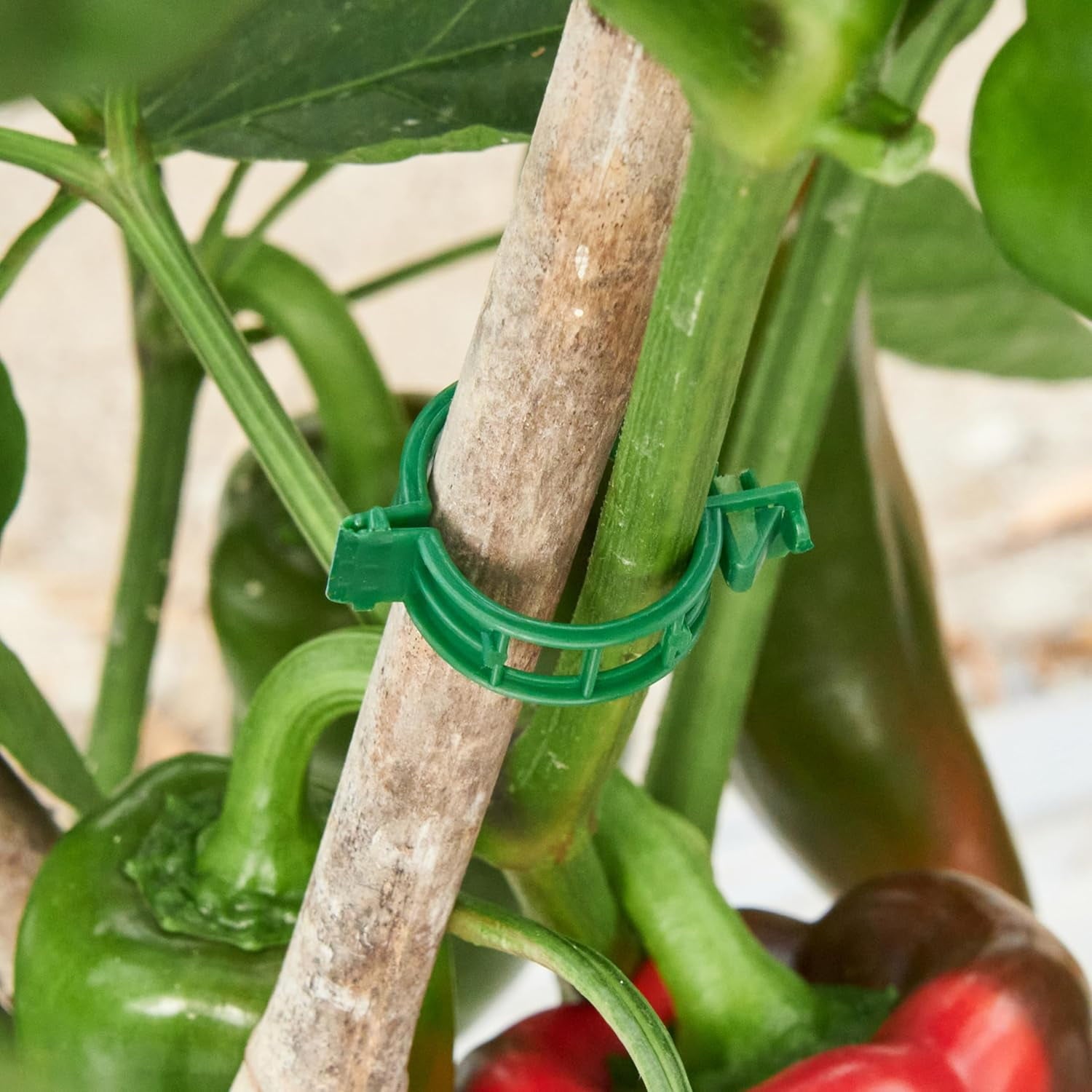 Rongsi 150 Pcs plant clips,Plastic Clips for Securing Plants,Tomato Vine Clips,Plant Fixing Clips,Garden Clips for Climbing Plants,Grape and - Image 4