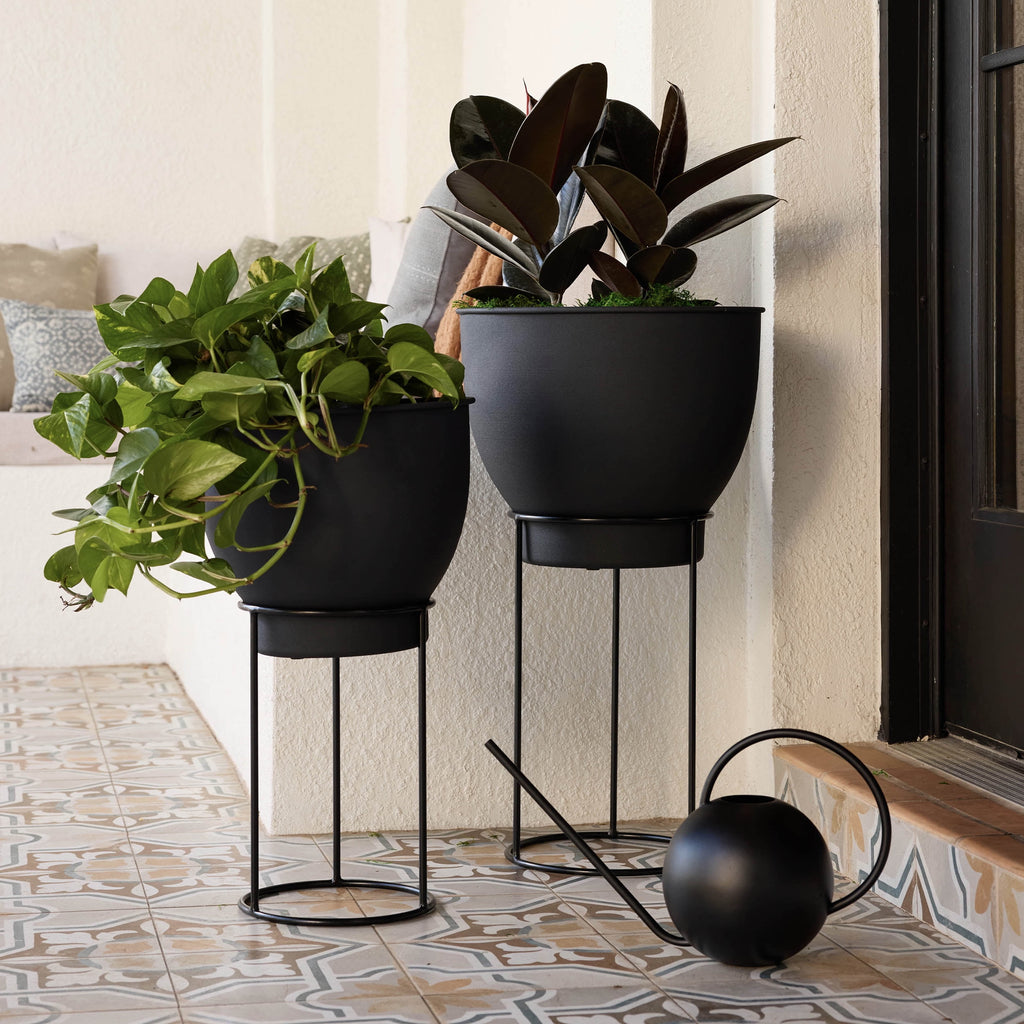 Bloem Fresca 2.5 L Indoor Metal Watering Can - Powder-Coated Finish, Novelty Handle, Long Sleek Spout, Black - Image 4