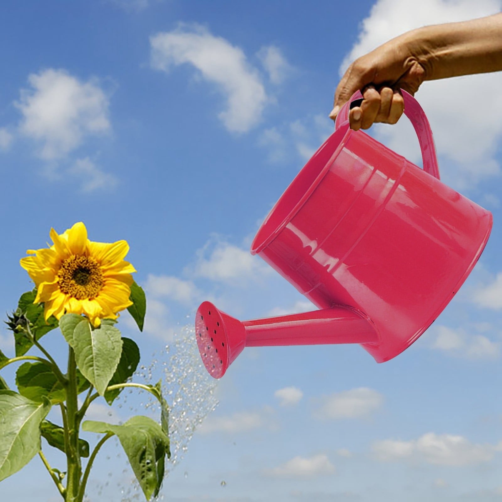 Junepar 1/4 Gal Colorful Galvanized Tinplate Watering Can for Indoor & Outdoor Plants Watering 1L Decorative Small Water Cans Hot Pink - Image 3