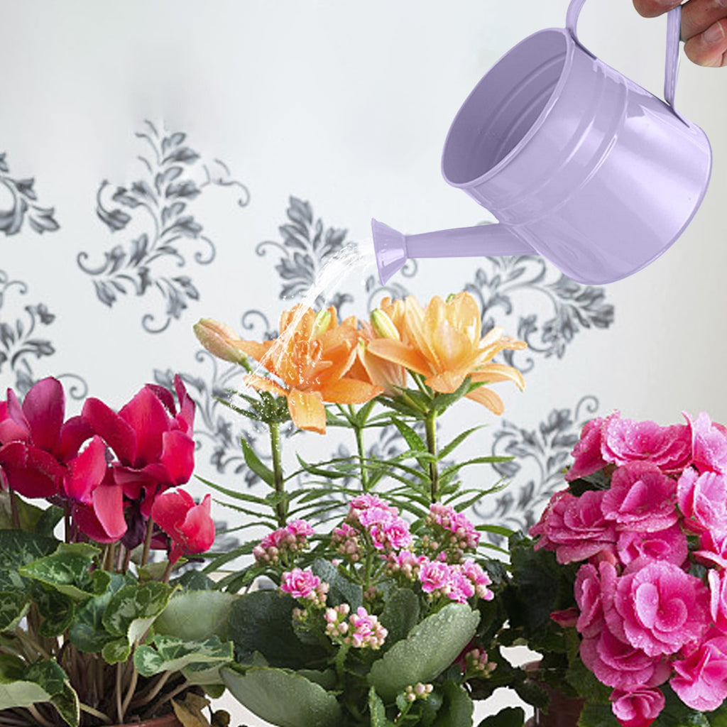 Small Watering Can for Indoor Plants Metal Watering Can For Plants Indoor Outdoor Garden Flower Pot With Floral Decorative Vintage Iron Wate - Image 2