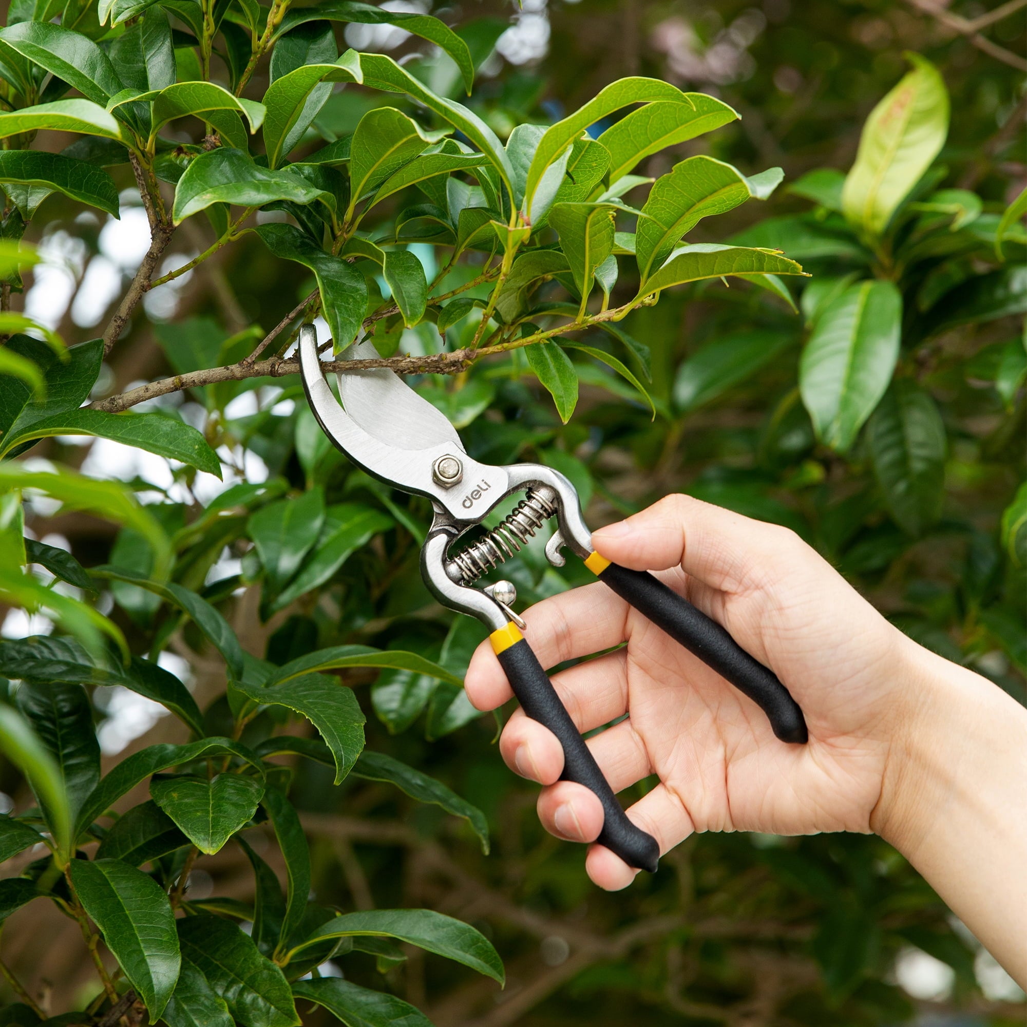 Deli Garden Pruning Shears, 8" Bypass Gardening Pruner, Garden Scissors, Garden Clippers, Black - Image 4