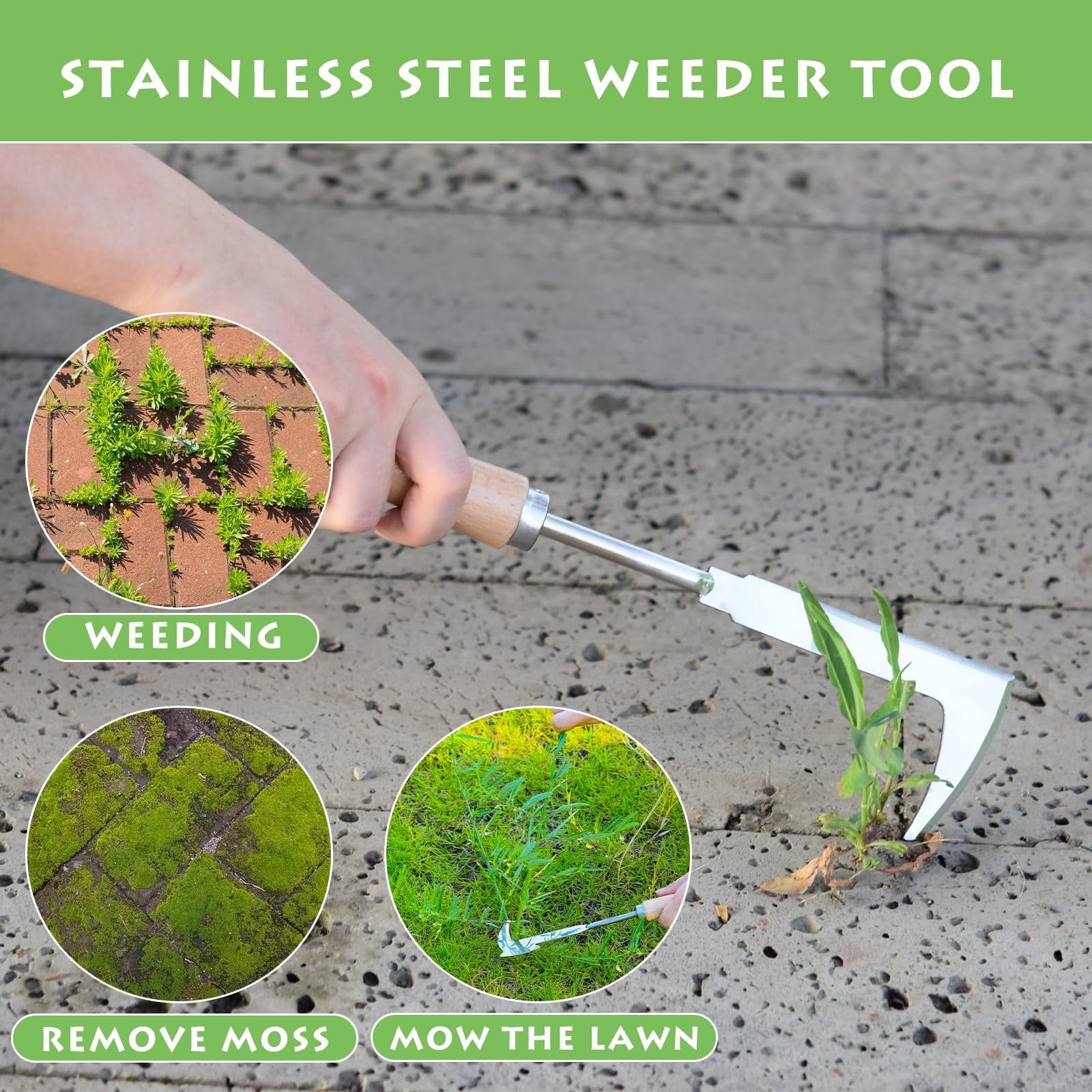 Stainless Steel Weeding Tool | Crevice Weeder & Seedling Transplanter for Garden, Yard - Image 5