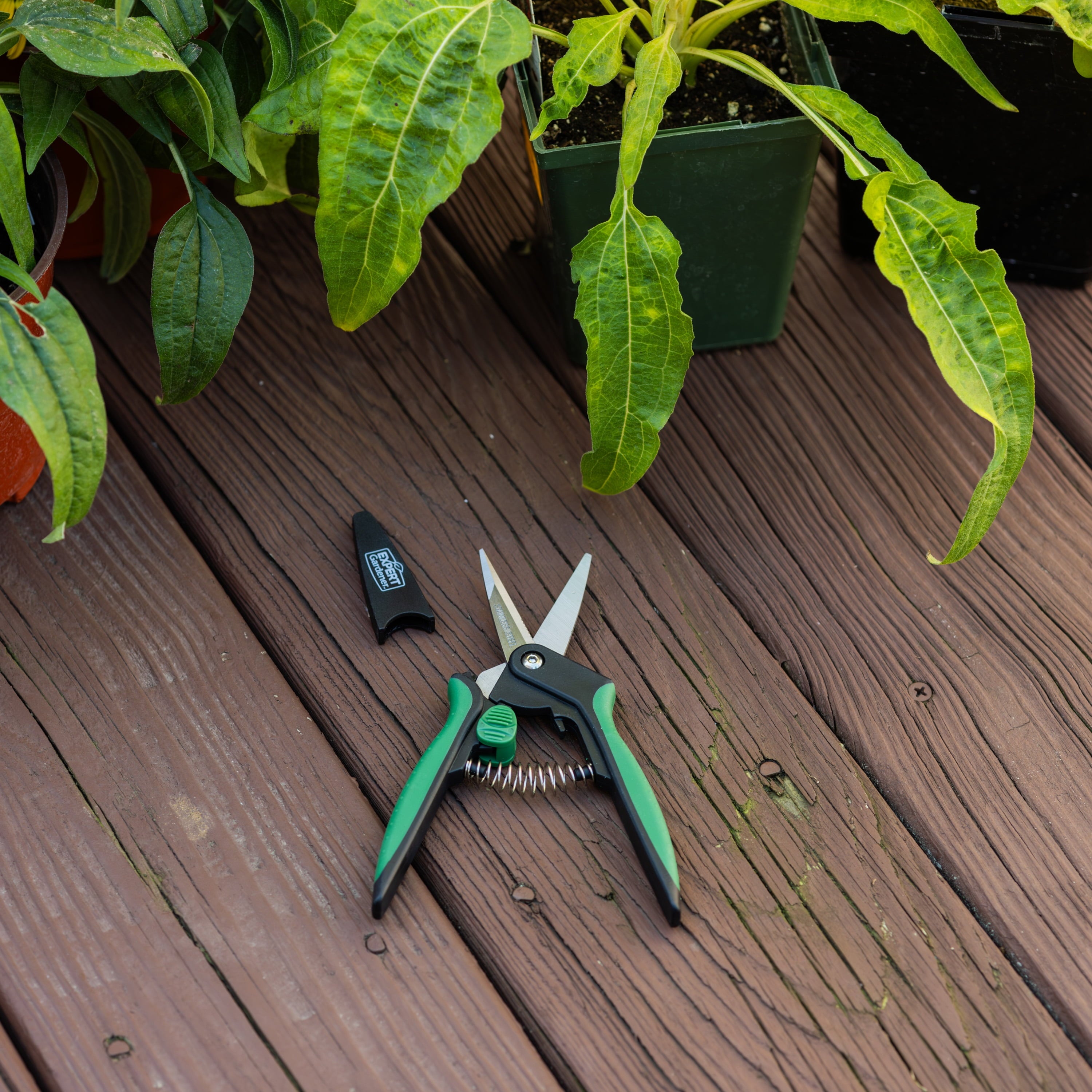 Shears - Image 4