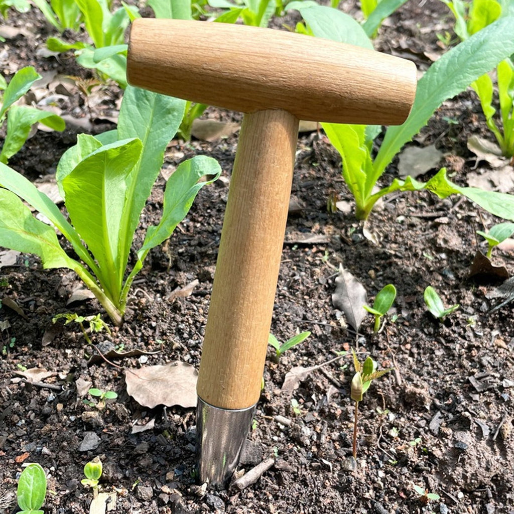 lixuesong Hand Dibber, Stainless Steel Sow Dibbler with Wood Handle, Garden Hole Puncher Dibbler Tool for Planting Seeding - Image 3