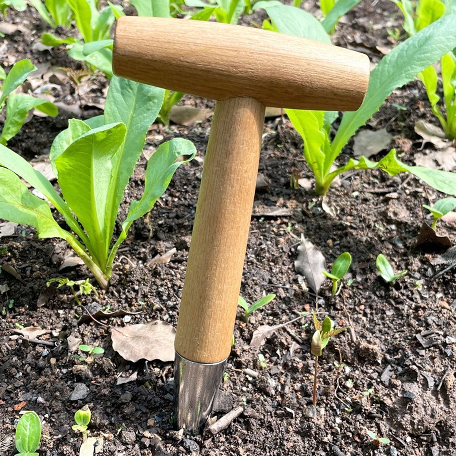 lixuesong Hand Dibber, Stainless Steel Sow Dibbler with Wood Handle, Garden Hole Puncher Dibbler Tool for Planting Seeding - Image 3
