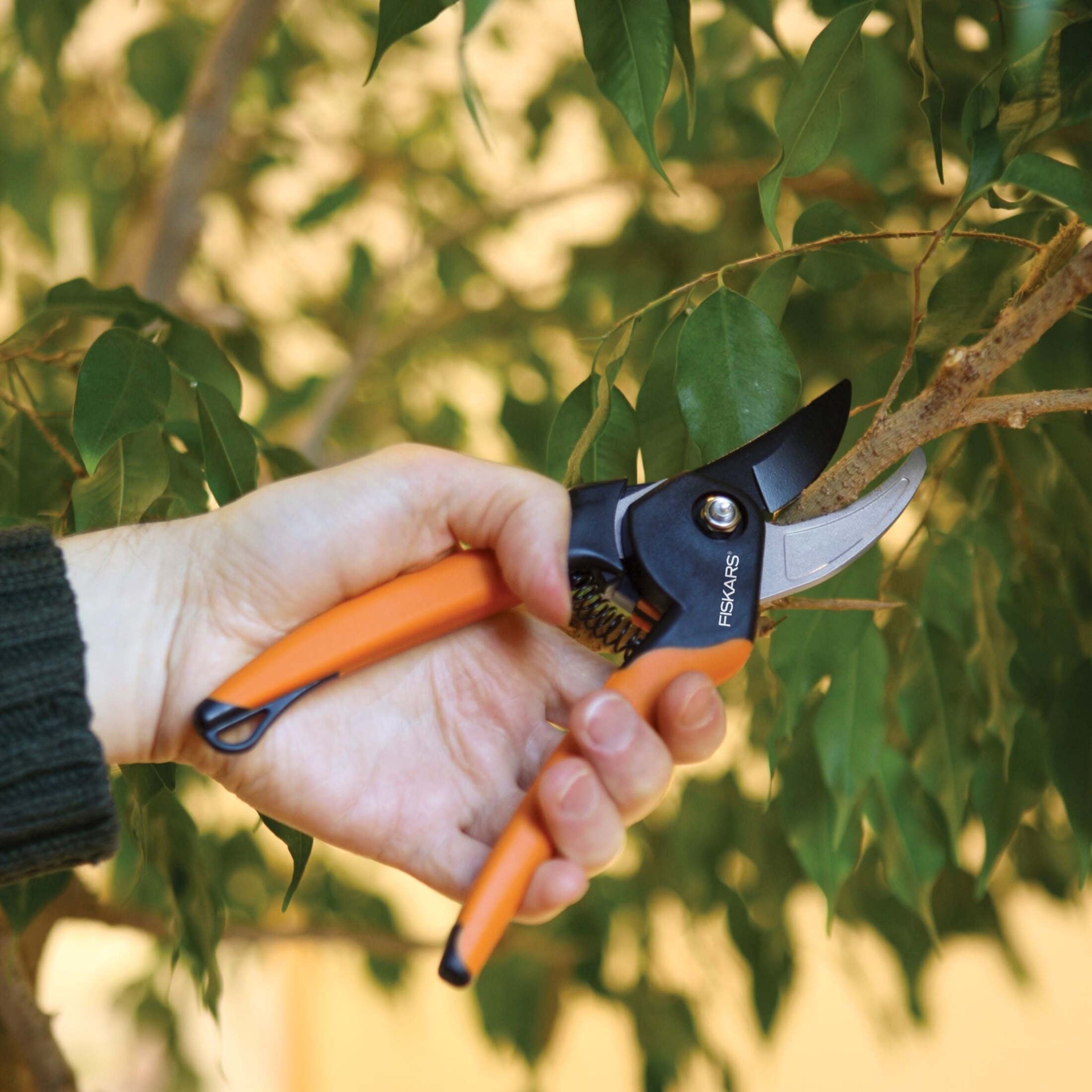Fiskars 5/8" Bypass Pruner Garden Tool with Steel Blade and Soft Grip Handle, Black and Orange - Image 5