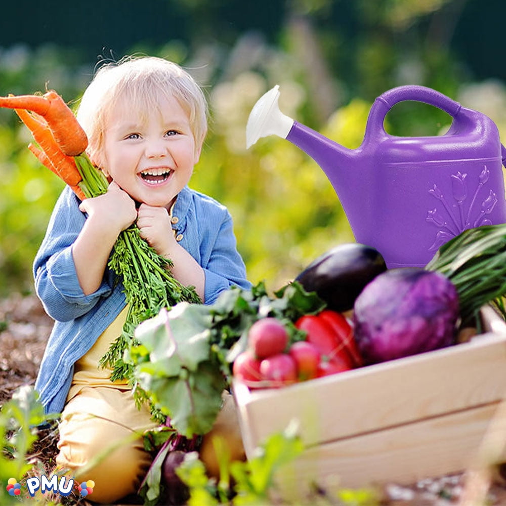 2 Gallon Watering Can - Garden Watering Can for Indoor & Outdoor Plants - Plastic Water Can with Detachable Sprinkler... - Image 2