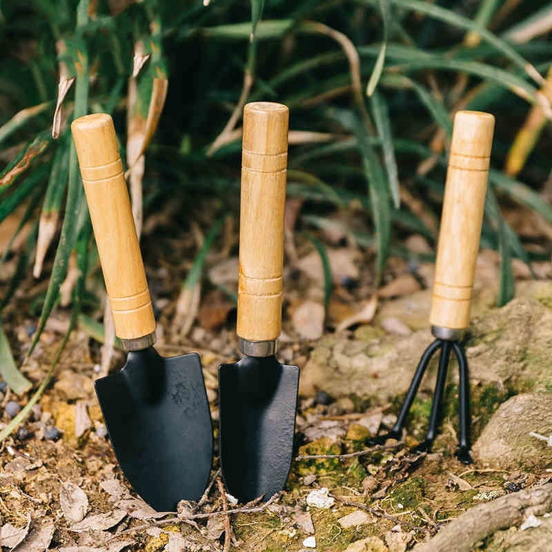 OYIGU 3 Pcs Mini Garden Tools Set, Small Garden Tools, Gardening Kit, Plant Potted Flower Garden Tool, Indoor Gardening Tools - Image 2