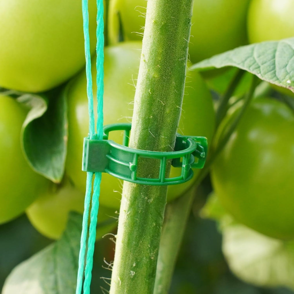 Rongsi 150 Pcs plant clips,Plastic Clips for Securing Plants,Tomato Vine Clips,Plant Fixing Clips,Garden Clips for Climbing Plants,Grape and - Image 3