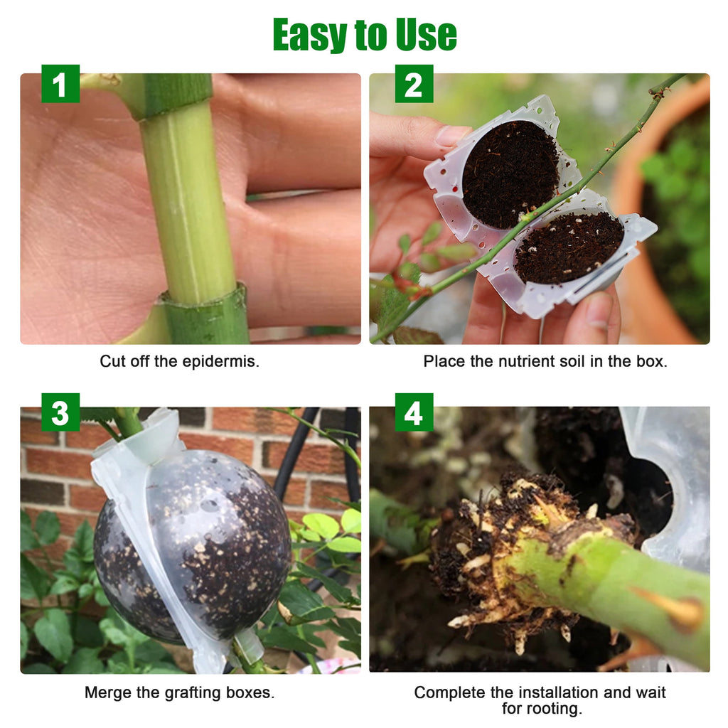 Lingsida 10pcs Air Layering Propagation Kit, Reusable Half Clear Grafting Ball, Plant Air Layering Pods Rooting Ball for Fast Propagation - Image 2