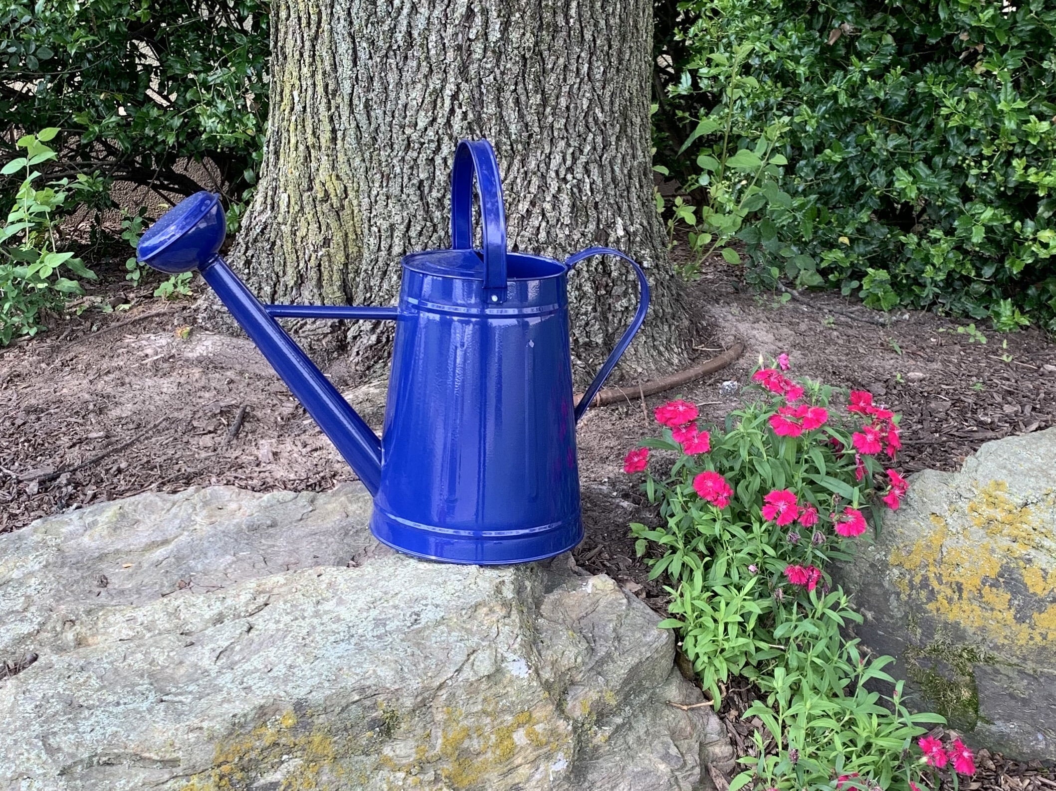 2.1 Gallon Blue Powder-Coated Galvanized Steel Watering Can - Image 5