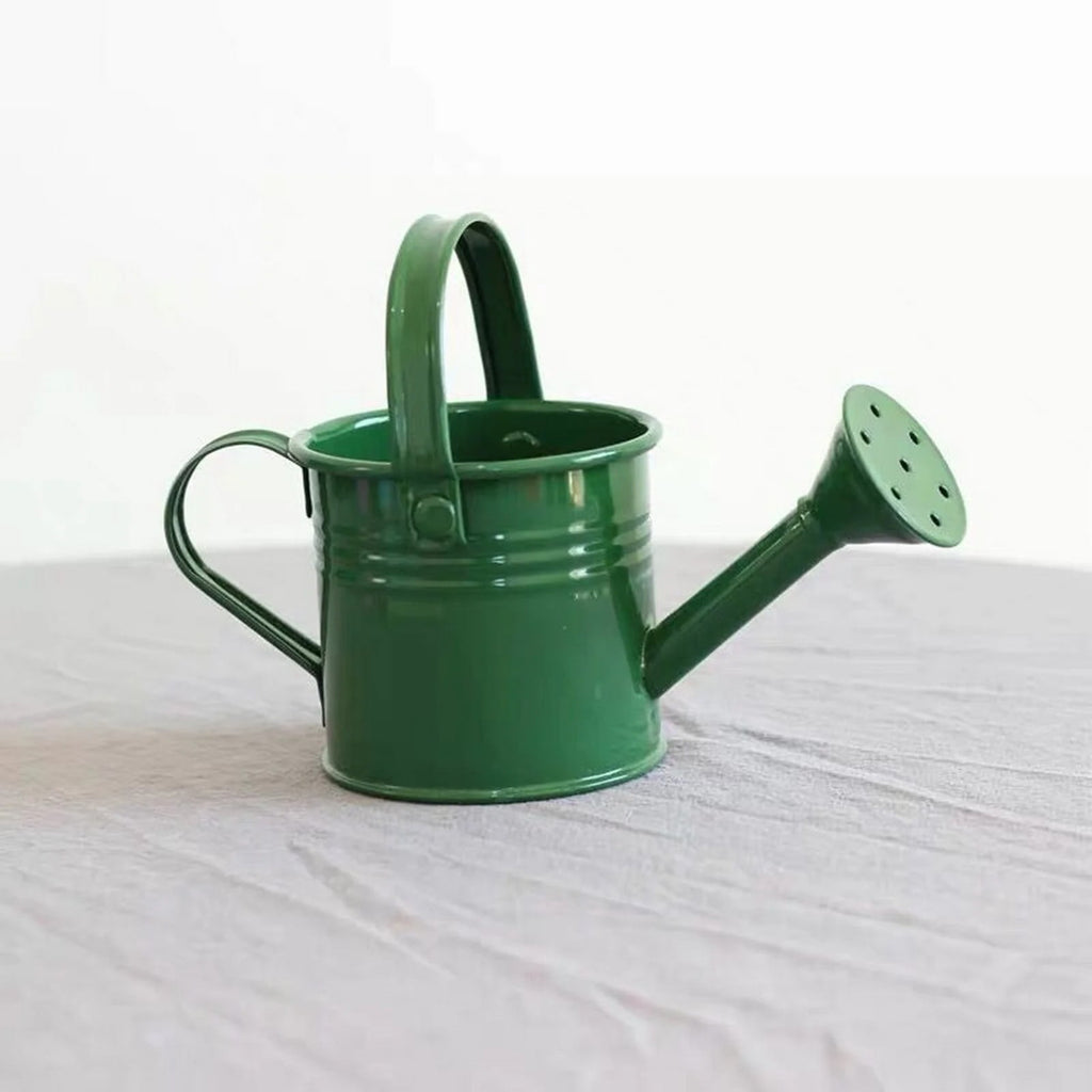 Metal Watering Can, Kids Small Watering Cans with Handle, Children Iron Mini Watering Pot for Boys Girls, Baby Water ... - Image 4