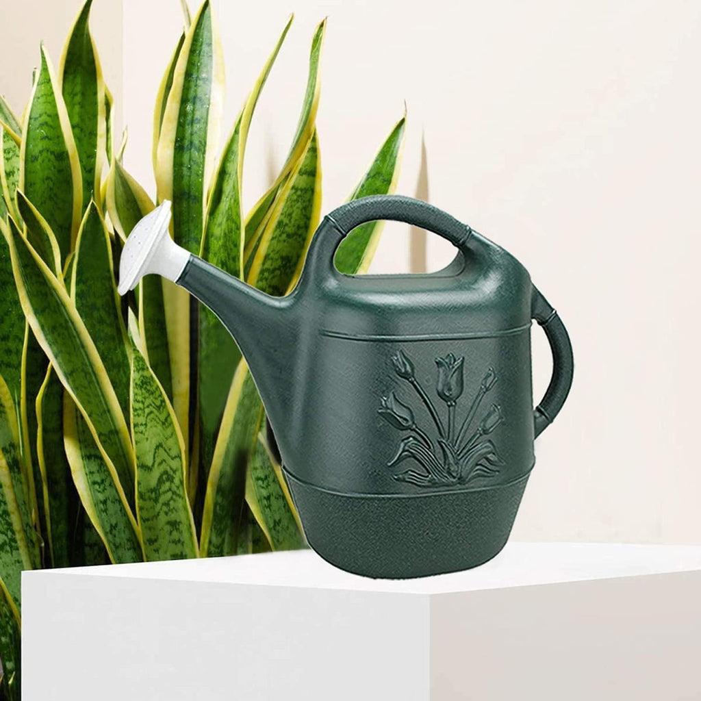 Cado 2 Gallon Watering Can Green - Pour Spout - 3 Pack, Hunter Green - Image 4