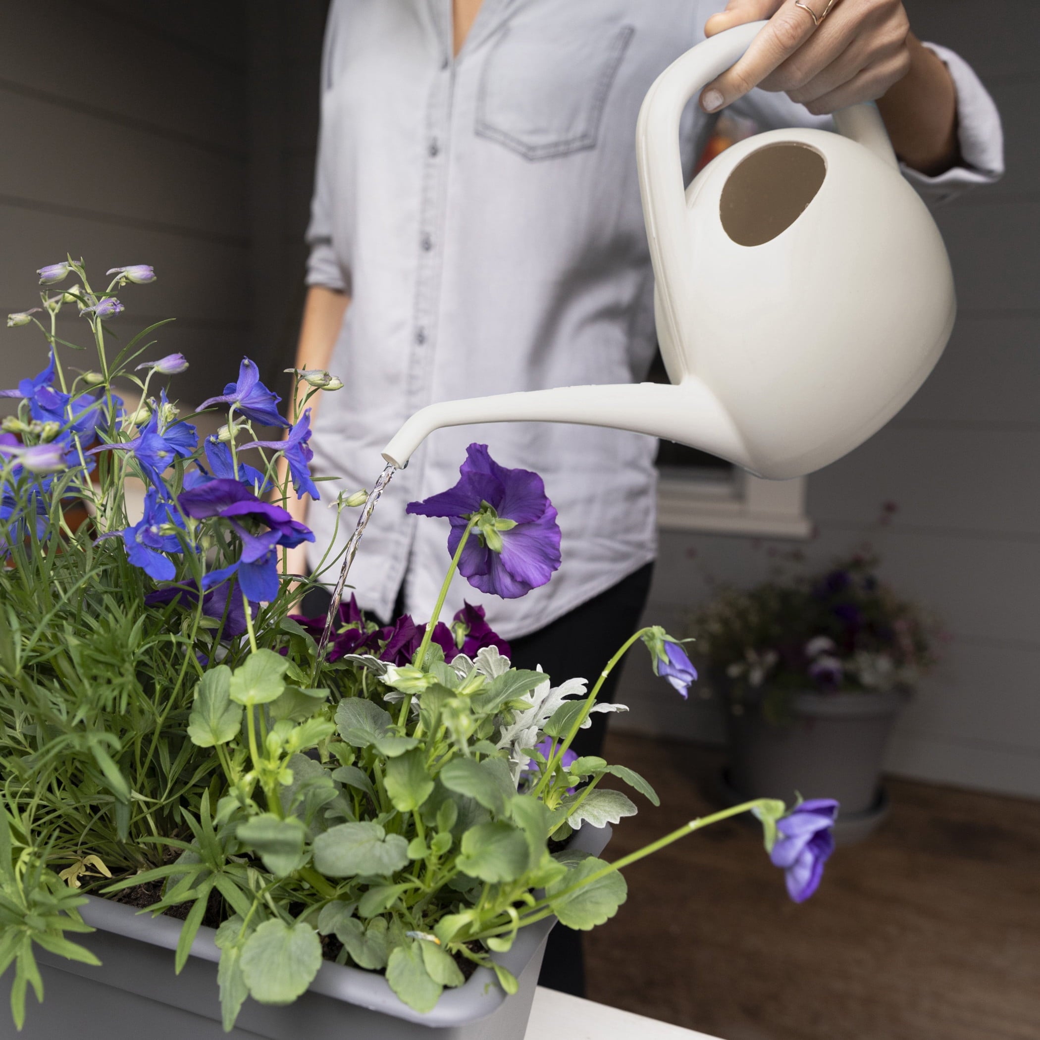 Bloem Canary Cream Watering Can, 1.5 Liter, Durable Plastic, Long Spout, Steady Flow, Indoor-Outdoor - Image 3