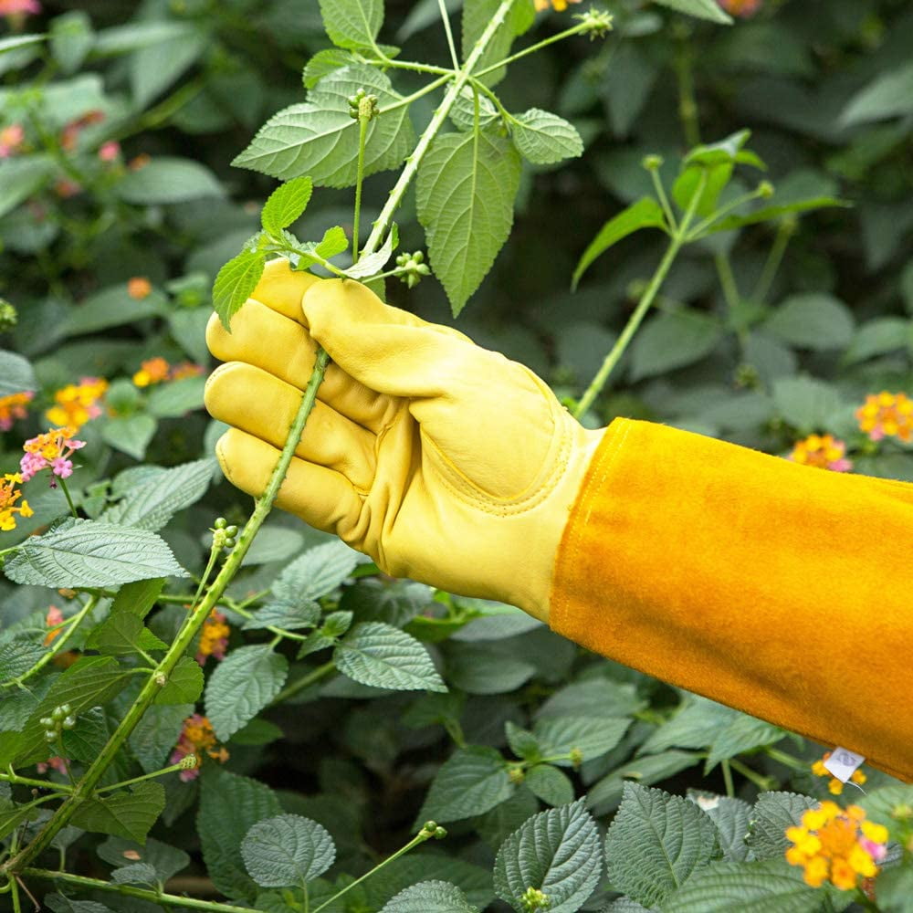 Long-Gardening-Gloves for Women/Men - Thorn Proof Cowhide Leather Rose/Blackberry Pruning Heavy Duty Gloves Thick Pal... - Image 3