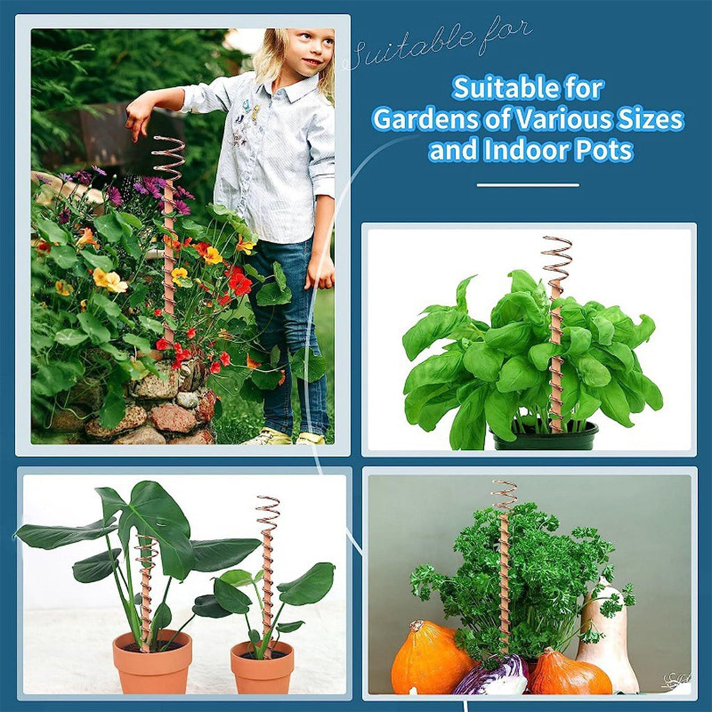 Big Savings karymi Garden Plant Pile Plant Support Frame Garden Vegetable Planting Copper Gardening Tools Small Accessories Big Savings Summ - Image 6
