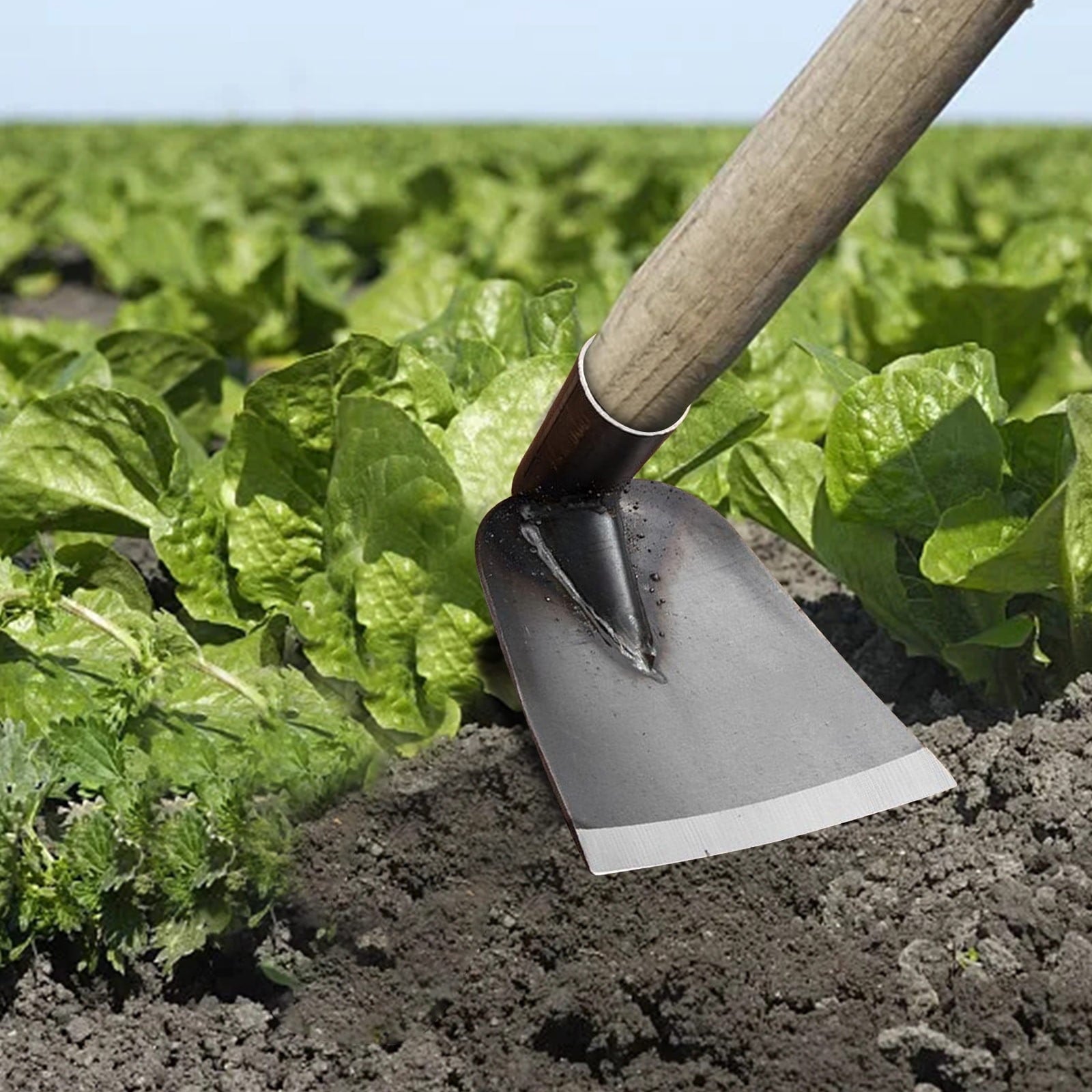 School Tools Outdoor Agricultural Forging Weeding Hoe for Planting Vegetables Flower Hoes - Image 5