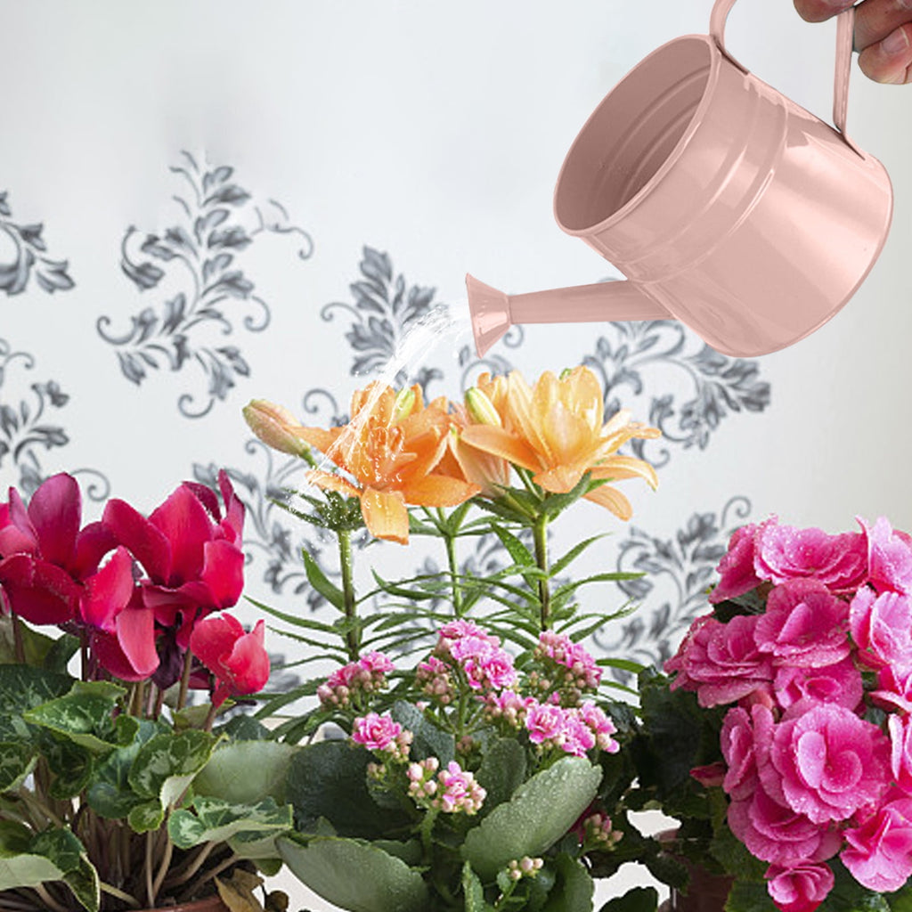 JeashCHAT Metal Watering Can for Indoor and Outdoor Plants, 1.5L Small Watering Can for House Plant Garden Flower, Iron Watering Can for Hom - Image 2