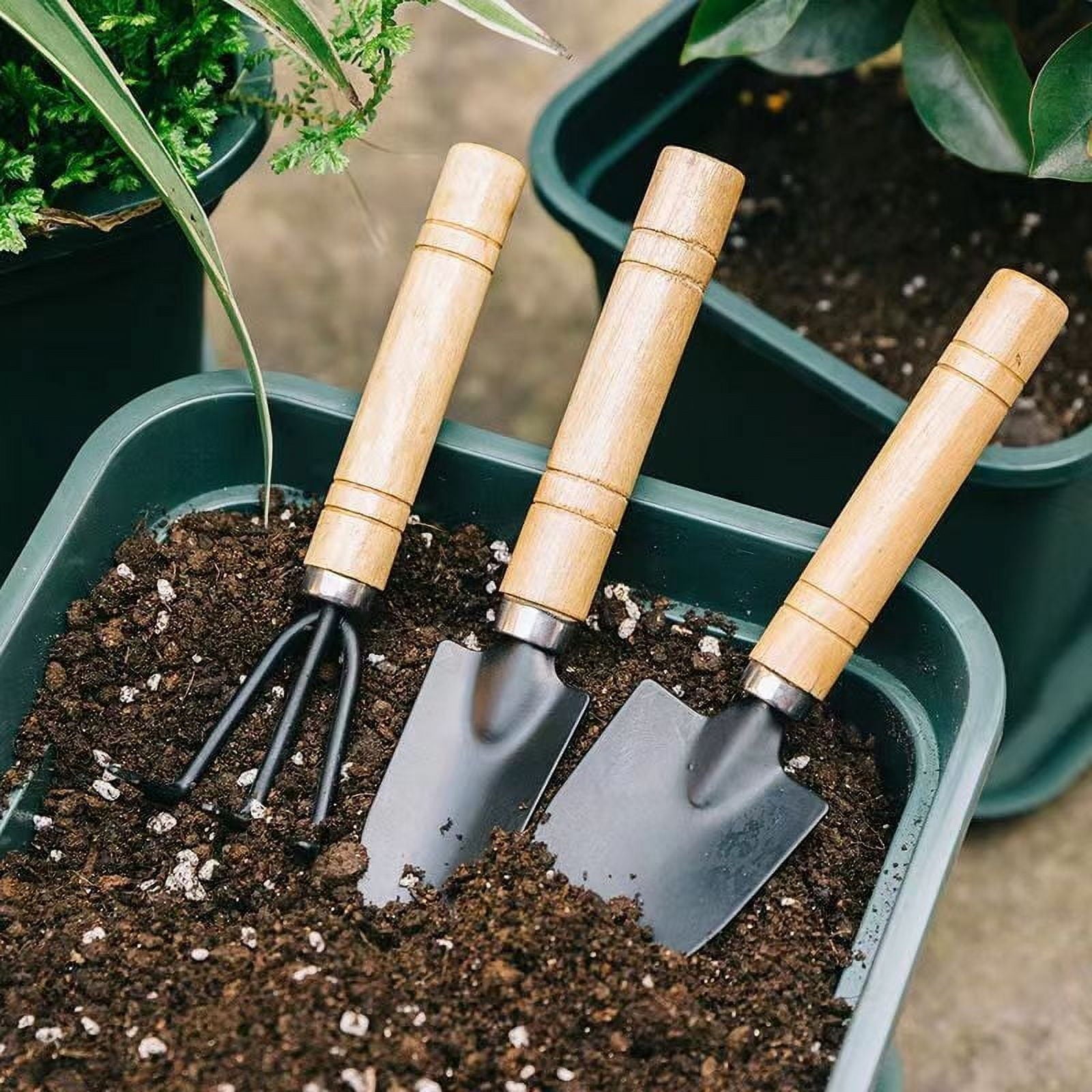Mini Garden Tool Set, 3-Piece Hand Shovel Transplant Shovel and Cultivator Rake Kit, Portable Gardening Tools for Ind... - Image 5