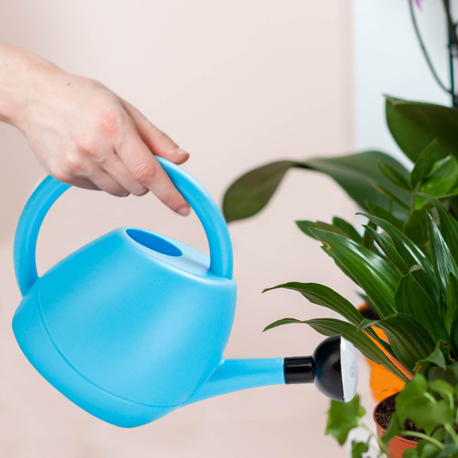 Small Watering Can for Indoor Plants,Watering Cans with Long Spout Sprinkler Head Comfortable Handle Gardening Water ... - Image 4