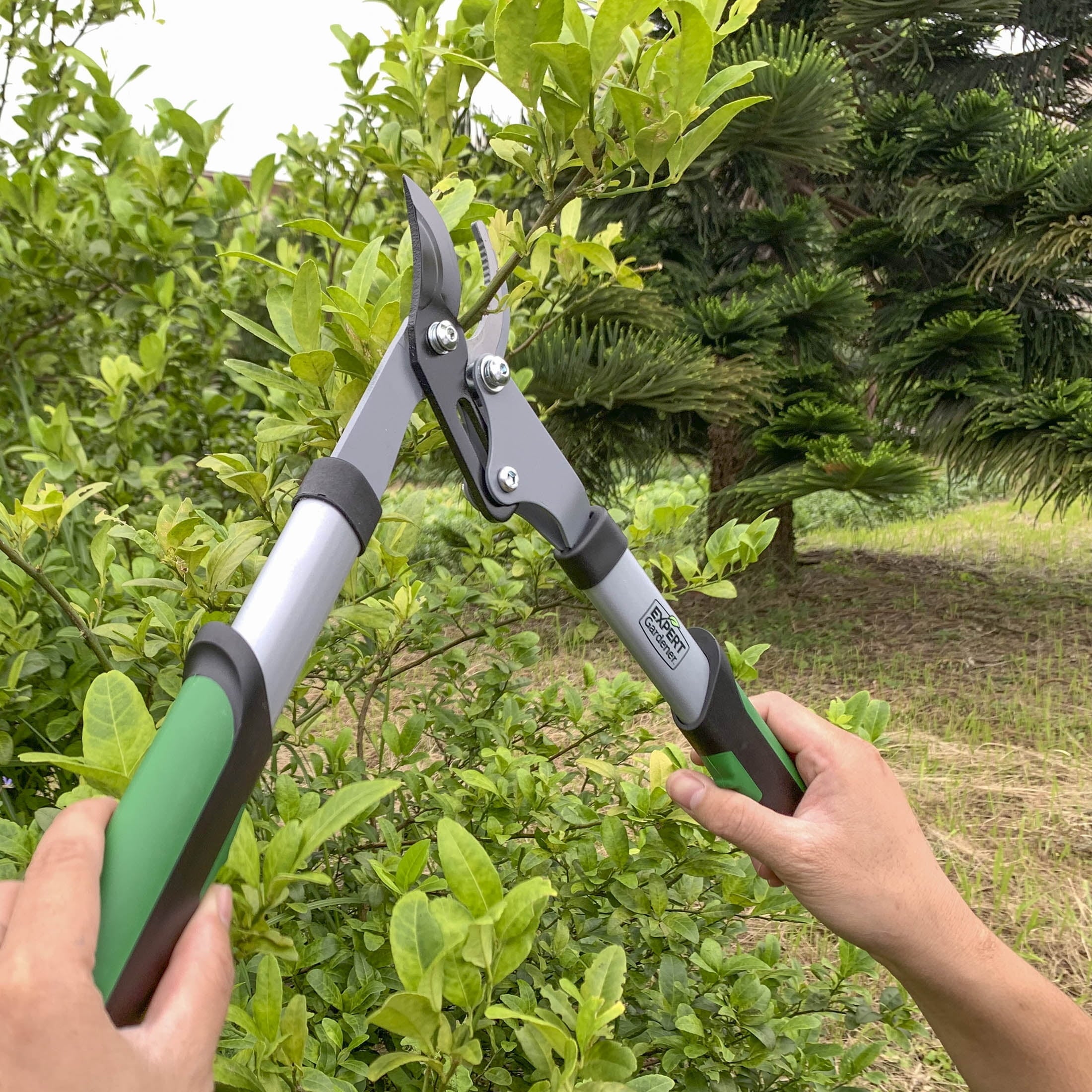15-Inch Lopper, Lightweight and Durable with Ergonomic Grips - Image 5