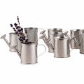 Giftsforyounow Garden Watering Cans (12 Pack)